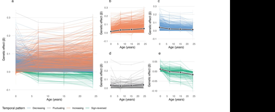 Trajectory plots showing increasing, decreasing, fluctuating and sign-reversed genetic effects on DNA methylation over age.