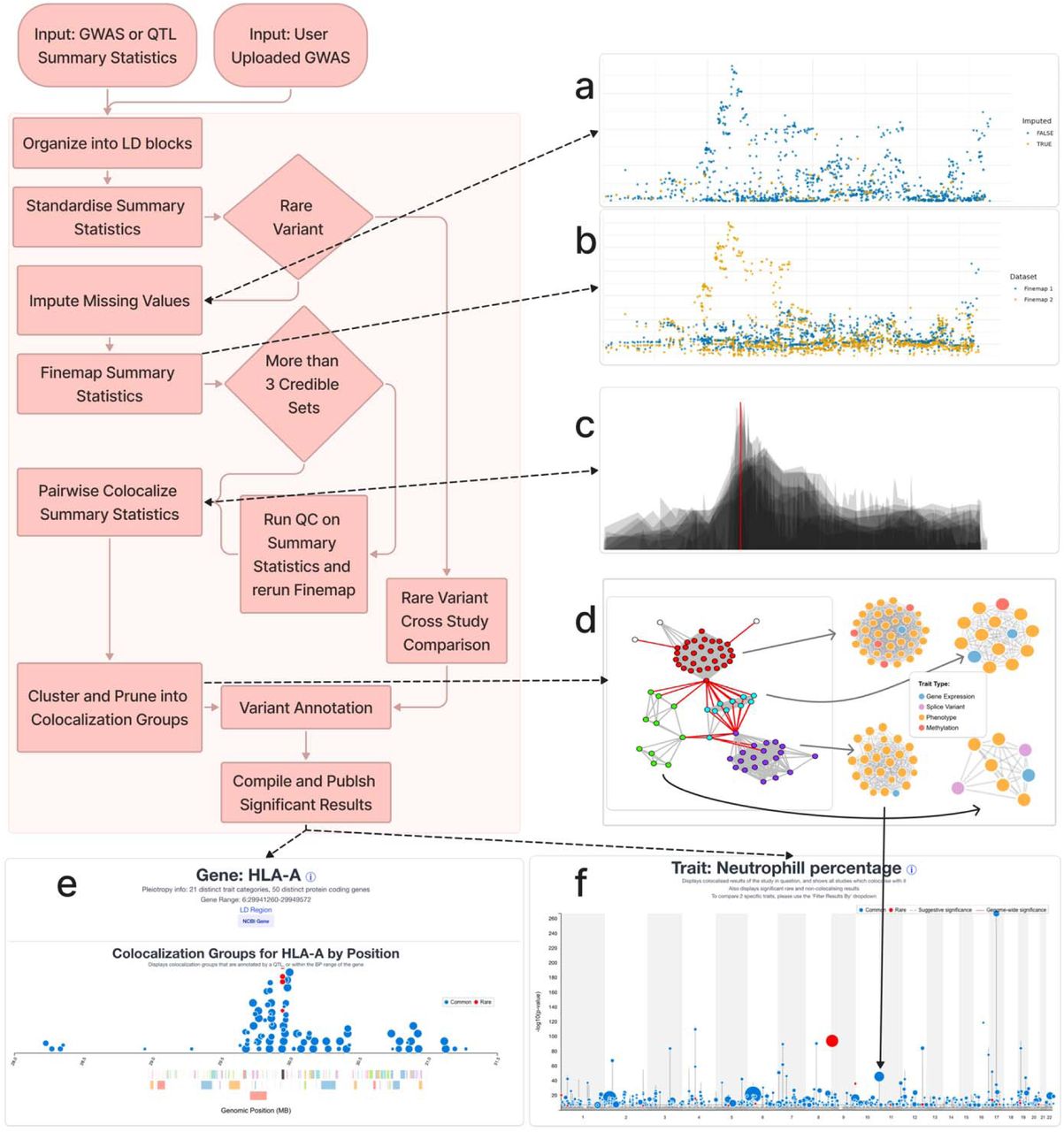 GPMap processing pipeline from GWAS summary statistics to trait, gene, variant and tissue views.